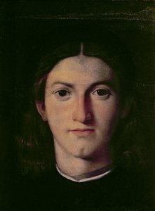 Portret van een Jonge Man, 1505